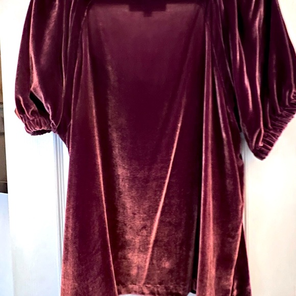LOFT - Gorgeous Velvety Top - NWT - XL - Picture 2 of 5